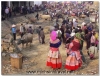Sapa 4 days 5 night